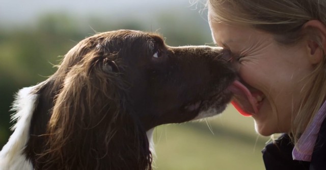 Watch secret life discount of pets putlocker